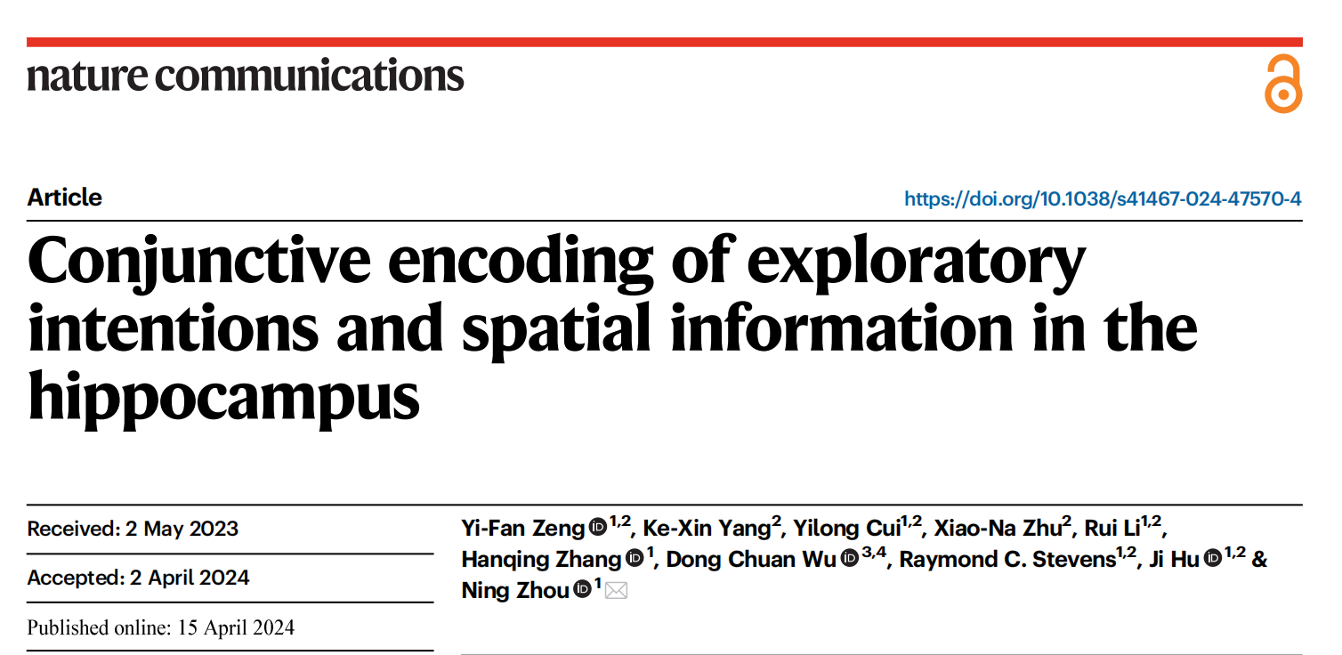 iHuman研究所周宁课题组发现同时编码空间信息和探索意图的海马体神经元